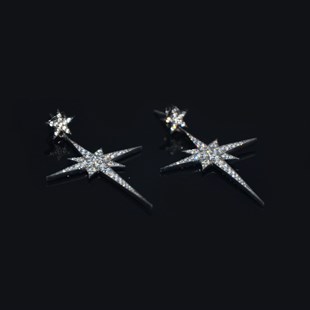 Premium Black & White Star Earrings